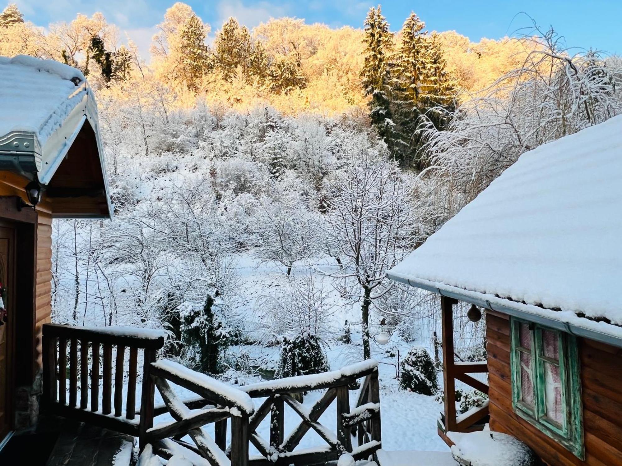 Kuca Za Odmor Carolija Villa Jastrebarsko Exterior foto